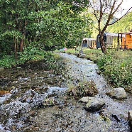 Transfagarasan River Retreat Arefu Dış mekan fotoğraf